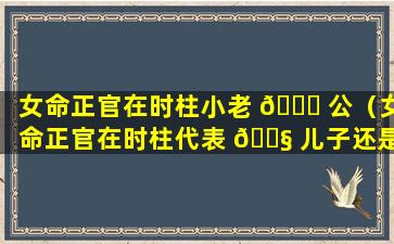 女命正官在时柱小老 🐛 公（女命正官在时柱代表 🐧 儿子还是女儿）